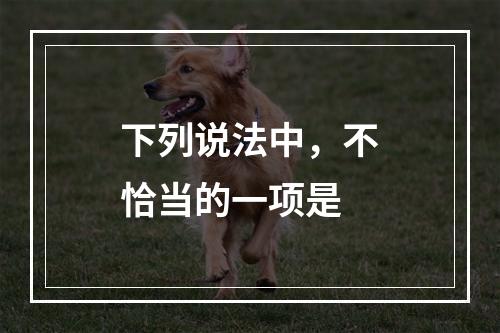 下列说法中，不恰当的一项是