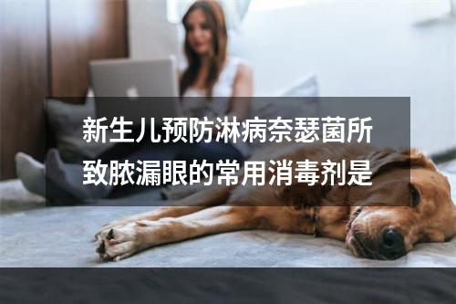 新生儿预防淋病奈瑟菌所致脓漏眼的常用消毒剂是