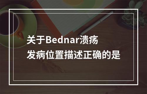 关于Bednar溃疡发病位置描述正确的是