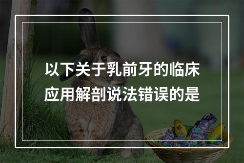 以下关于乳前牙的临床应用解剖说法错误的是