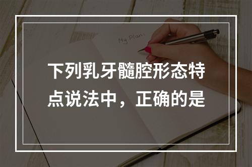 下列乳牙髓腔形态特点说法中，正确的是