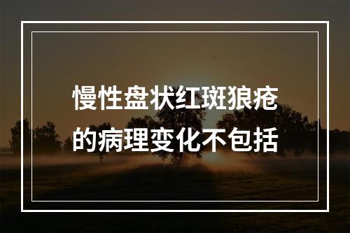 慢性盘状红斑狼疮的病理变化不包括