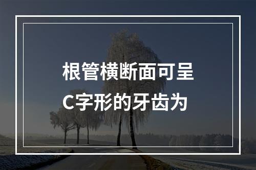 根管横断面可呈C字形的牙齿为