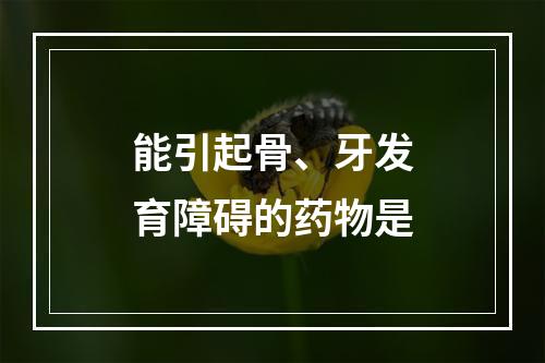 能引起骨、牙发育障碍的药物是