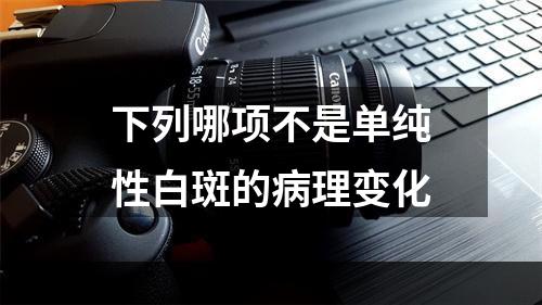 下列哪项不是单纯性白斑的病理变化