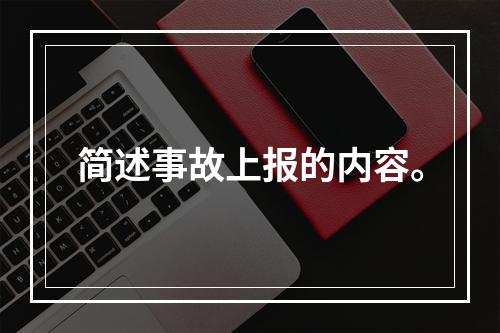 简述事故上报的内容。