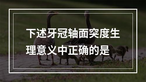 下述牙冠轴面突度生理意义中正确的是