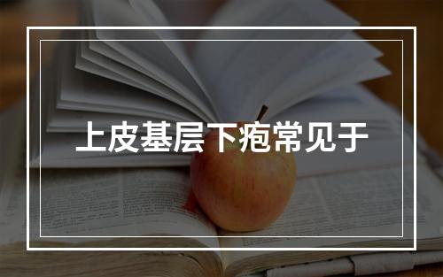 上皮基层下疱常见于