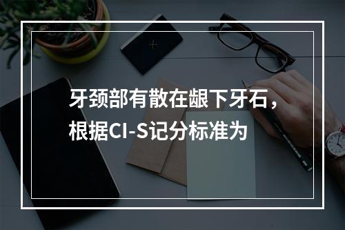 牙颈部有散在龈下牙石，根据CI-S记分标准为