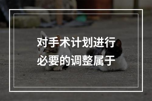 对手术计划进行必要的调整属于