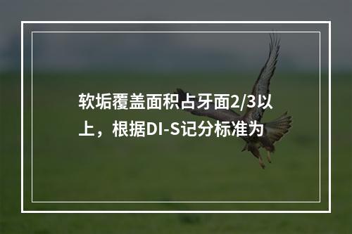 软垢覆盖面积占牙面2/3以上，根据DI-S记分标准为