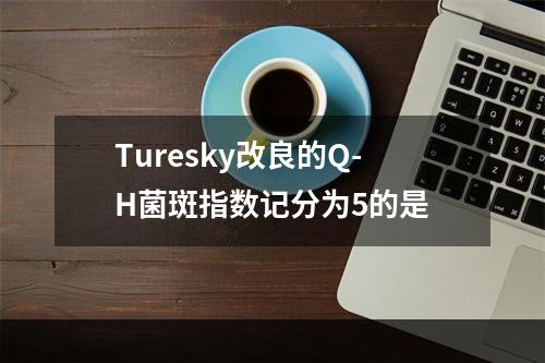 Turesky改良的Q-H菌斑指数记分为5的是