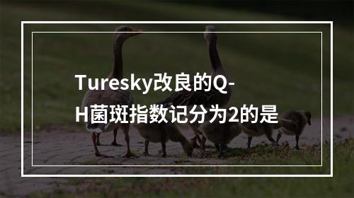 Turesky改良的Q-H菌斑指数记分为2的是