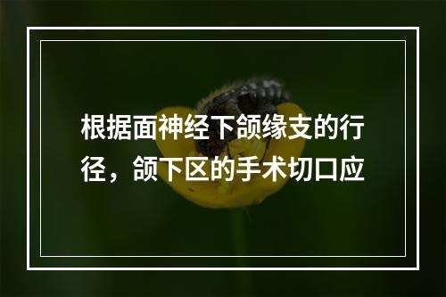 根据面神经下颌缘支的行径，颌下区的手术切口应