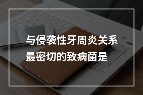 与侵袭性牙周炎关系最密切的致病菌是