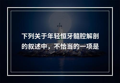 下列关于年轻恒牙髓腔解剖的叙述中，不恰当的一项是