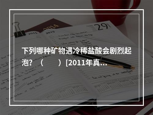 下列哪种矿物遇冷稀盐酸会剧烈起泡？（　　）[2011年真题