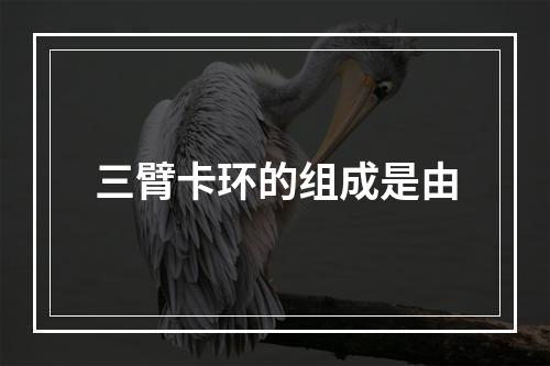 三臂卡环的组成是由