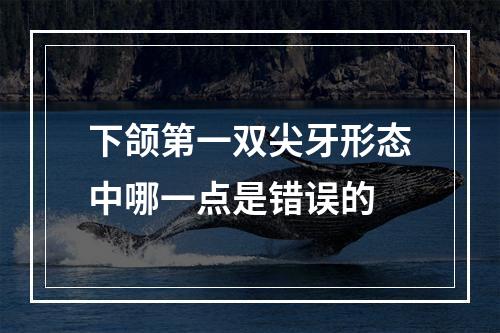 下颌第一双尖牙形态中哪一点是错误的