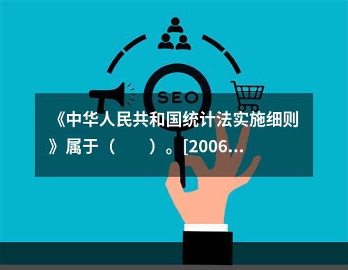 《中华人民共和国统计法实施细则》属于（　　）。[2006年