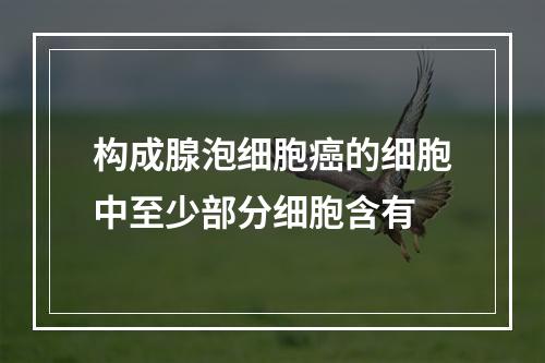 构成腺泡细胞癌的细胞中至少部分细胞含有