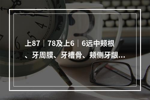 上87│78及上6│6远中颊根、牙周膜、牙槽骨、颊侧牙龈受哪