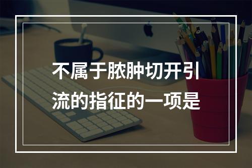 不属于脓肿切开引流的指征的一项是