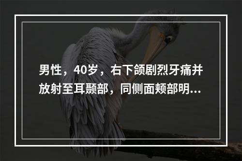 男性，40岁，右下颌剧烈牙痛并放射至耳颞部，同侧面颊部明显红