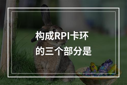 构成RPI卡环的三个部分是