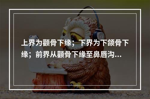 上界为颧骨下缘；下界为下颌骨下缘；前界从颧骨下缘至鼻唇沟经口