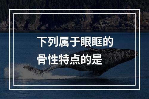 下列属于眼眶的骨性特点的是