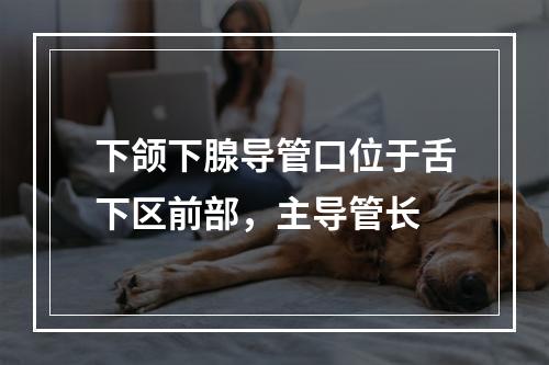 下颌下腺导管口位于舌下区前部，主导管长