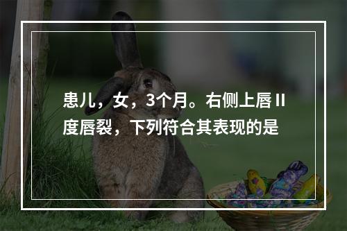 患儿，女，3个月。右侧上唇Ⅱ度唇裂，下列符合其表现的是