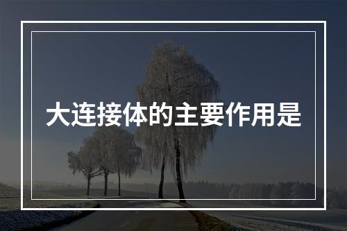 大连接体的主要作用是