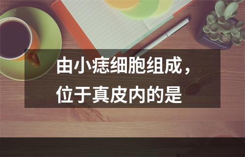 由小痣细胞组成，位于真皮内的是