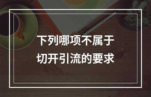 下列哪项不属于切开引流的要求