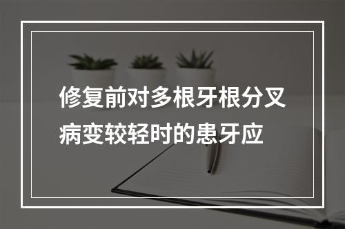 修复前对多根牙根分叉病变较轻时的患牙应