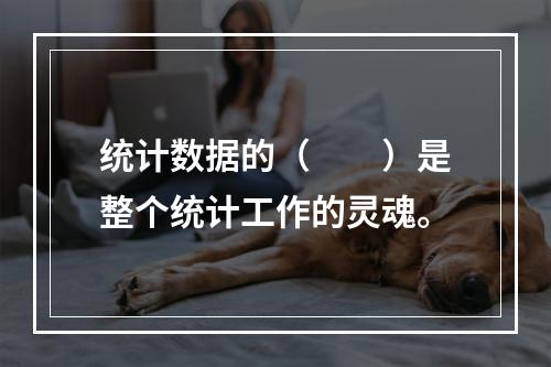 统计数据的（　　）是整个统计工作的灵魂。