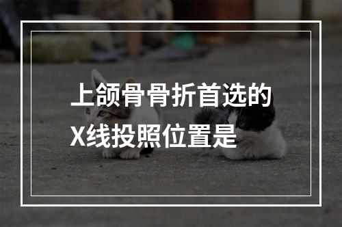 上颌骨骨折首选的X线投照位置是