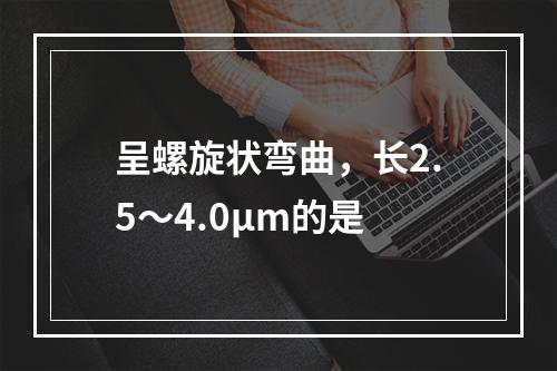 呈螺旋状弯曲，长2.5～4.0μm的是