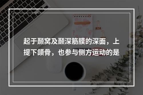 起于颞窝及颞深筋膜的深面，上提下颌骨，也参与侧方运动的是