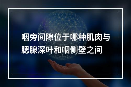 咽旁间隙位于哪种肌肉与腮腺深叶和咽侧壁之间