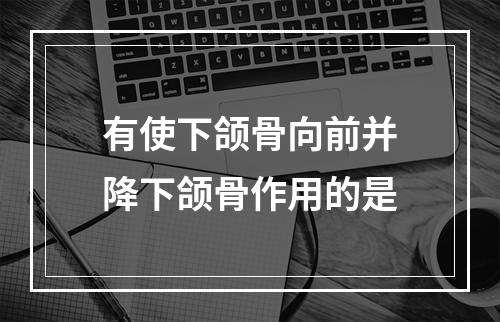 有使下颌骨向前并降下颌骨作用的是