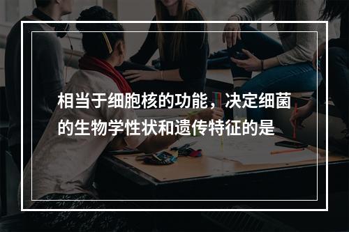 相当于细胞核的功能，决定细菌的生物学性状和遗传特征的是