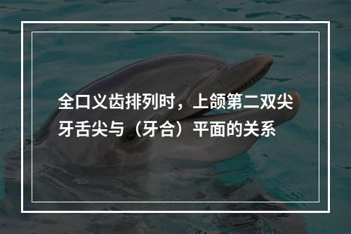 全口义齿排列时，上颌第二双尖牙舌尖与（牙合）平面的关系