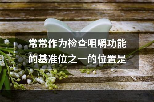 常常作为检查咀嚼功能的基准位之一的位置是