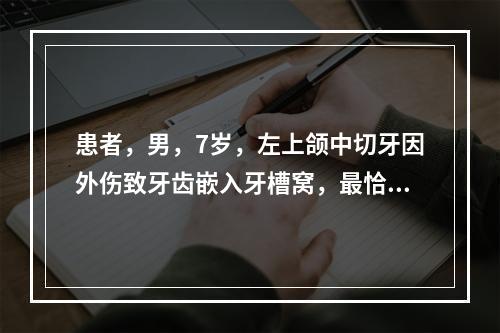 患者，男，7岁，左上颌中切牙因外伤致牙齿嵌入牙槽窝，最恰当的