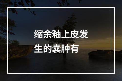 缩余釉上皮发生的囊肿有