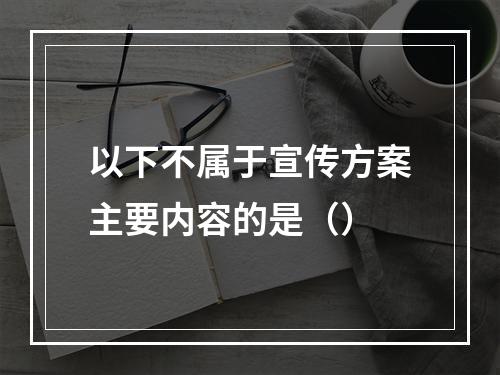 以下不属于宣传方案主要内容的是（）