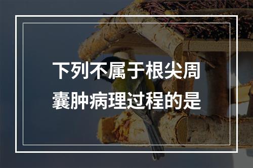 下列不属于根尖周囊肿病理过程的是